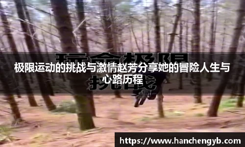 333体育app