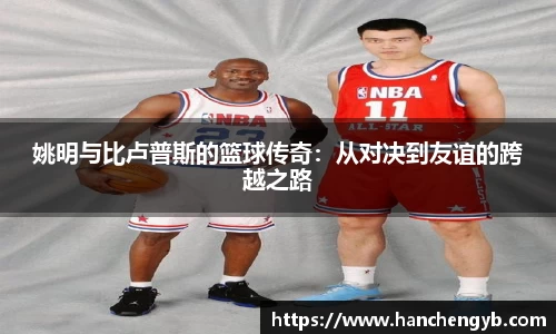 333体育官网